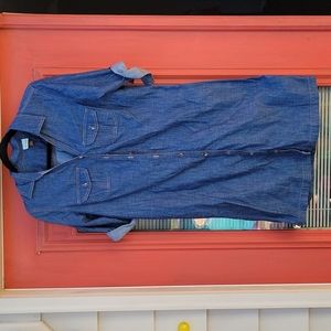 CUTE Denim Mini Dress